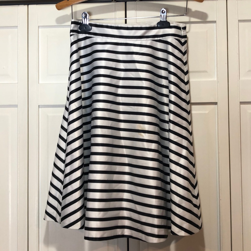 Limited Silk Striped Skirt